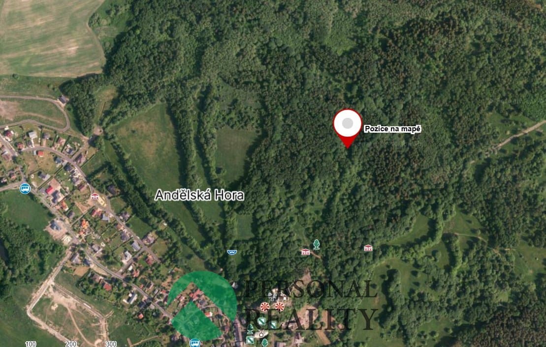 Prodej trvalý travní porost 9 593 m², Andělská Hora